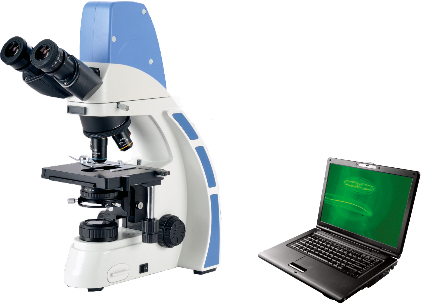 激光共聚焦显微镜-山东大学大型仪器公共技术平台