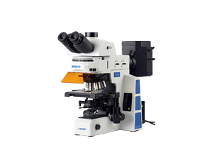RX50 Biological fluorescence microscope