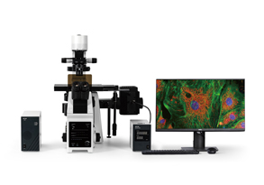 IRX50系列研究级倒置显微镜