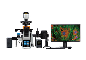 IRX60 Series Research Inverted Microscope