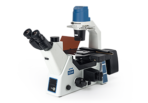 ICX41系列倒置生物/荧光显微镜