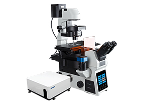 CLSM600激光扫描共聚焦显微镜
