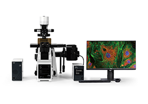 IRX50 SeriesInverted Biological Microscope